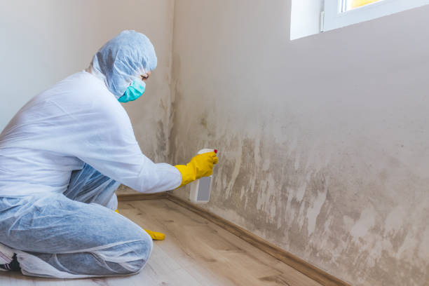 Crawl Space Mold Remediation treatment of floor joists in Fort Lauderdale