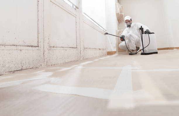Black mold remediation team in Fort Lauderdale